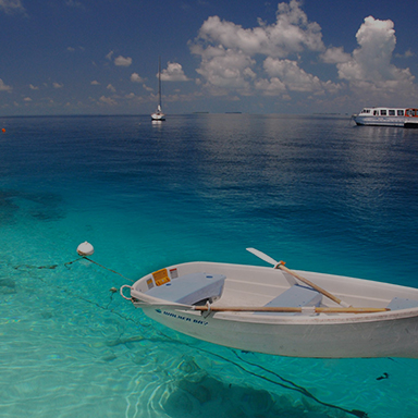 indian-ocean
