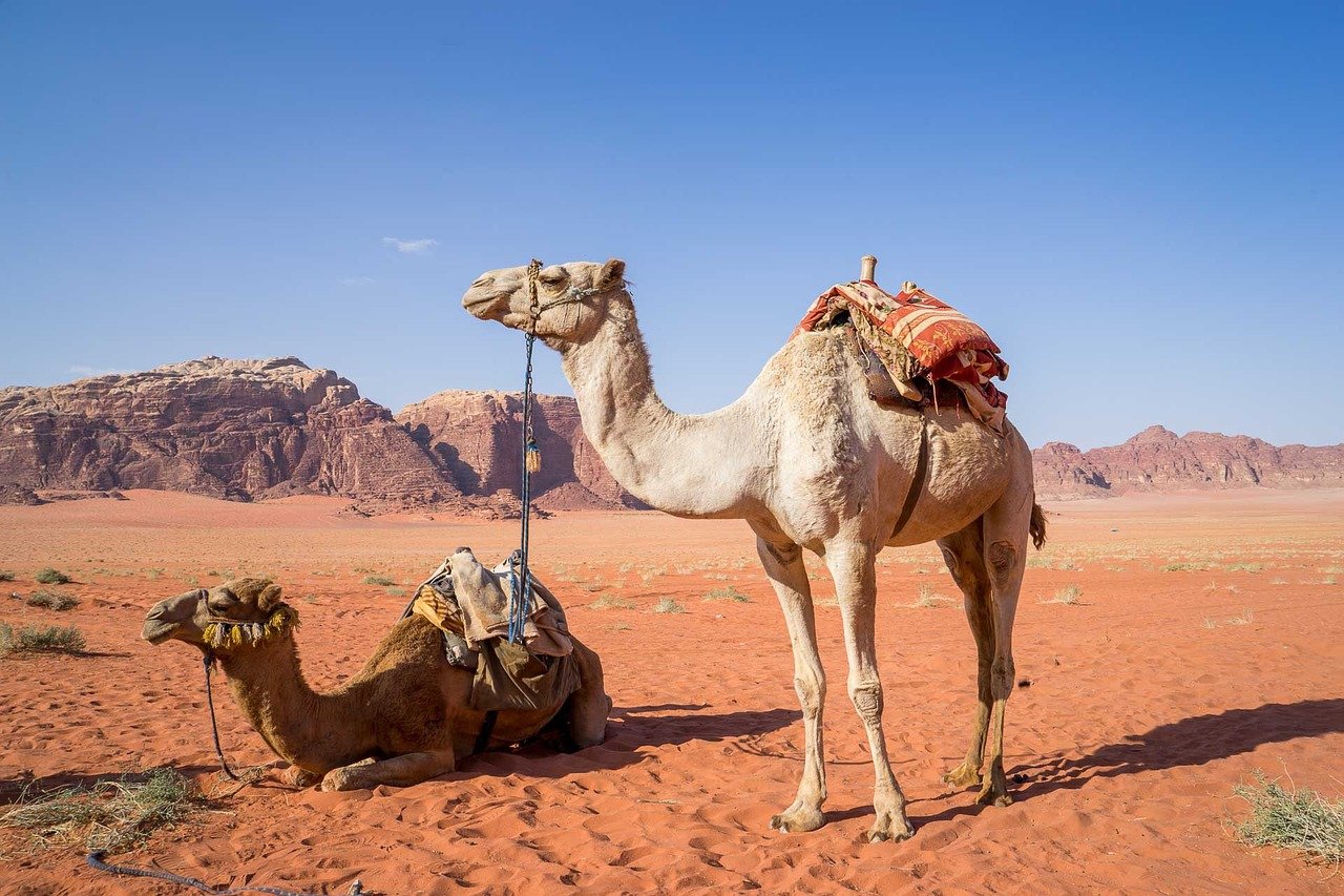 Middle East