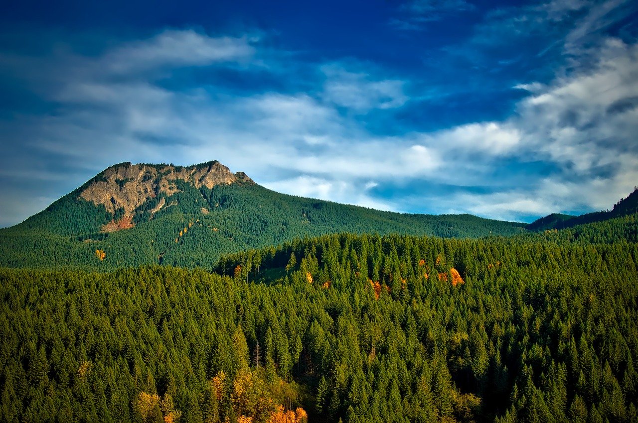 Washington