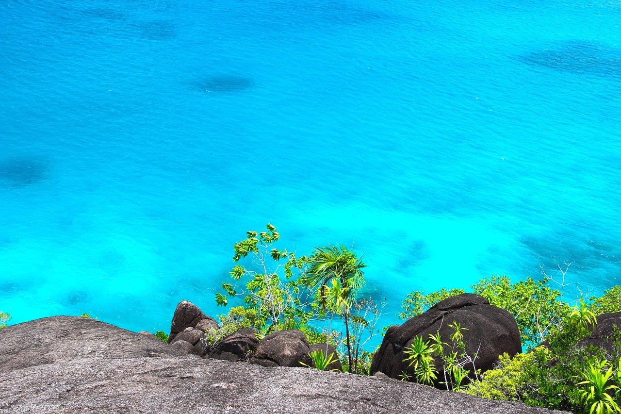 Caribbean