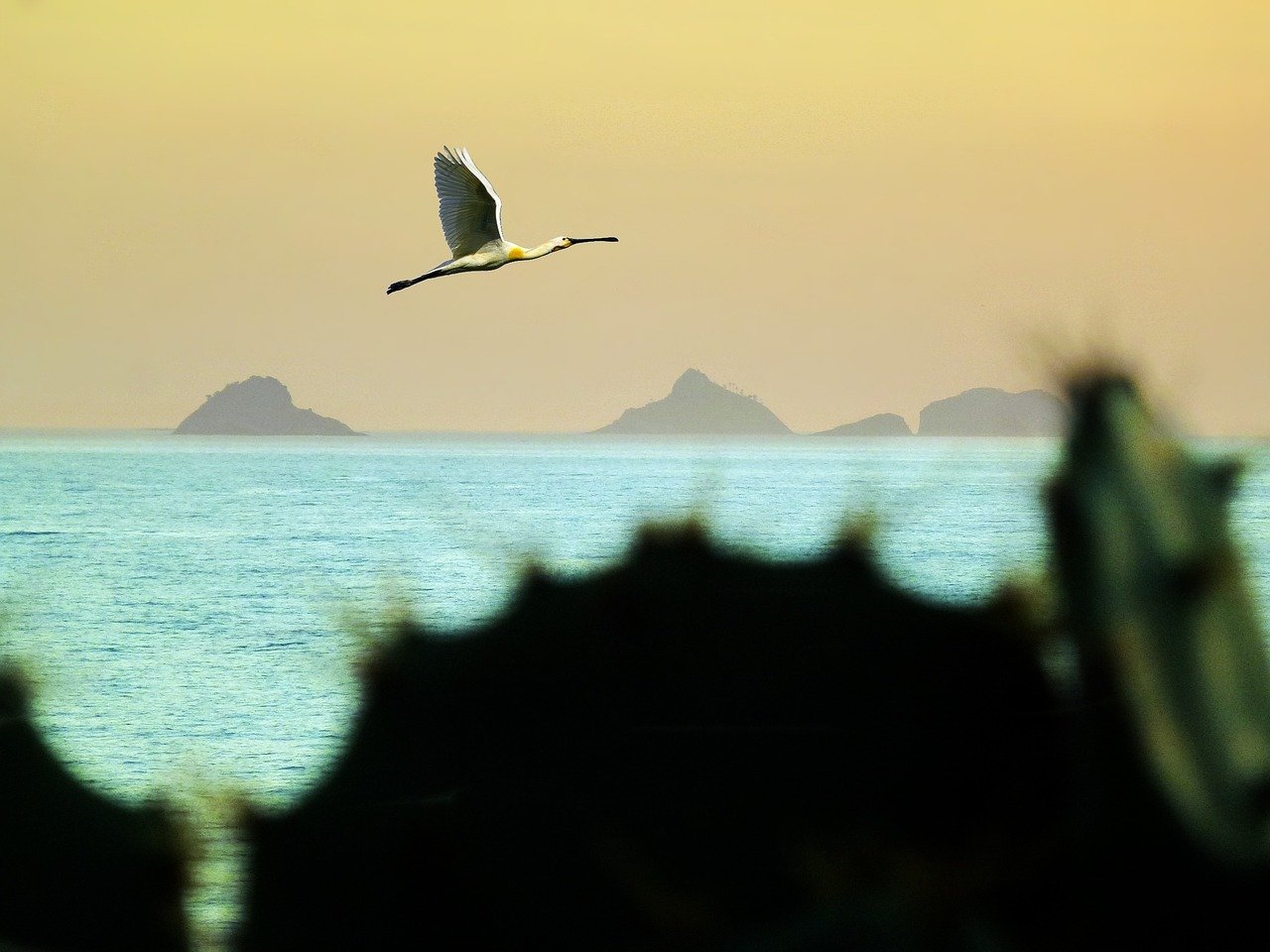 Rio de Janeiro