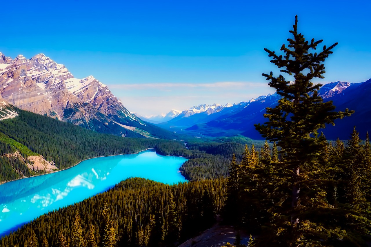 Take a trip to Canada