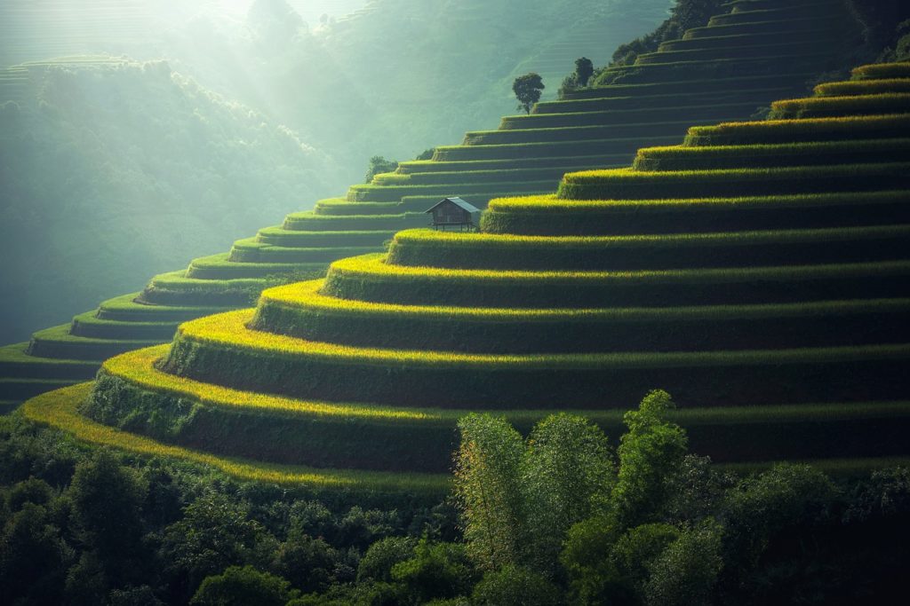 Bali