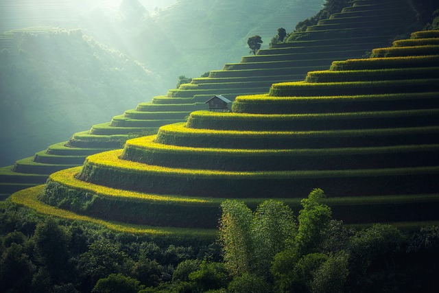 luxury Bali holiday